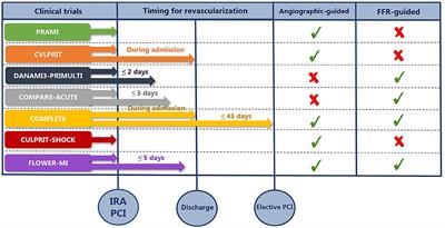 Current recommendations for revascularization of non-infarct-related artery in patients presenting with ST-segment elevation myocardial infarction and multivessel disease